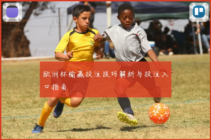 欧洲杯输赢投注技巧解析与投注入口指南