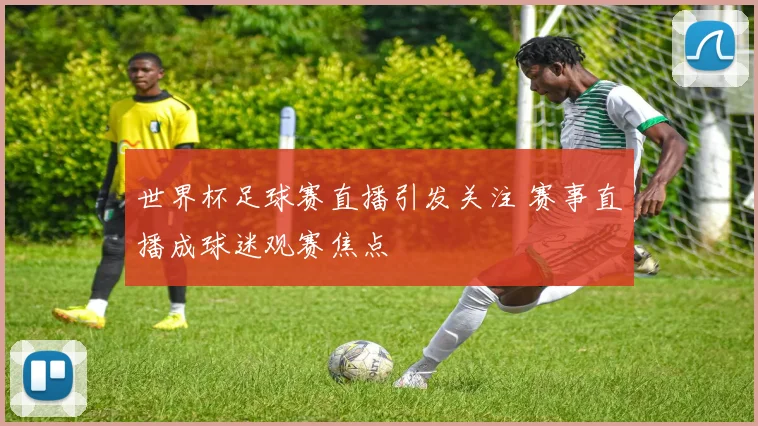 世界杯足球赛直播引发关注 赛事直播成球迷观赛焦点