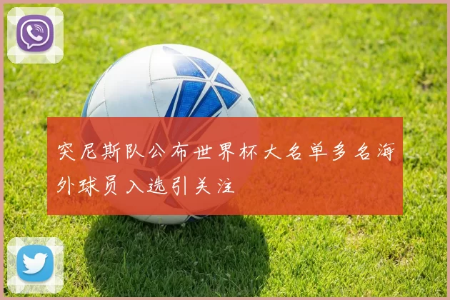 突尼斯队公布世界杯大名单多名海外球员入选引关注